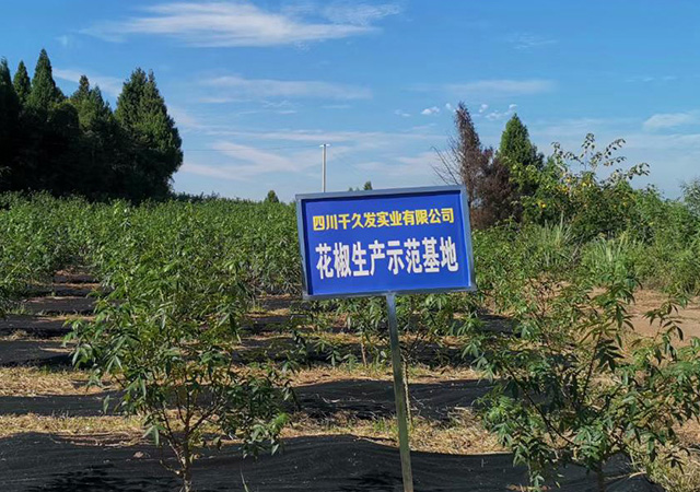 花椒视角展示